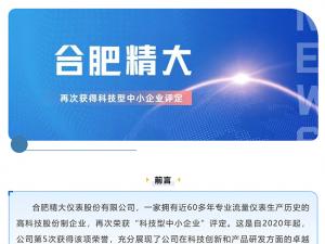 合肥精大儀表股份有限公司再次獲得科技型中小企業(yè)評